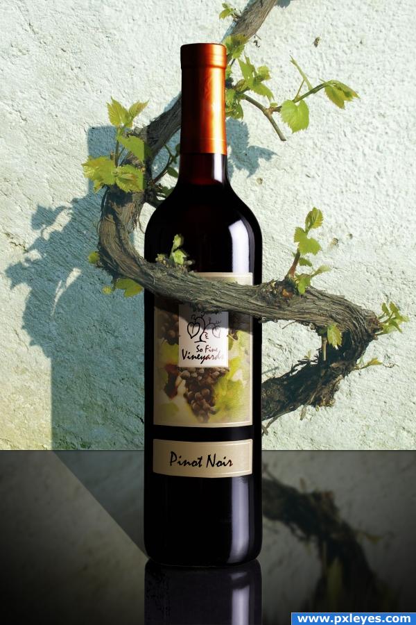 Creation of Vino vines: Final Result